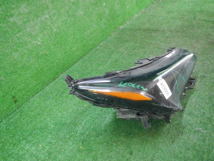 DSCN5647.JPG