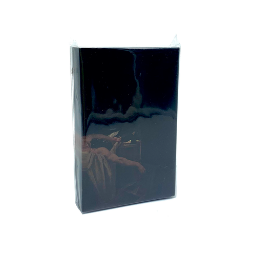 [MC] Have A Nice Life - Voids