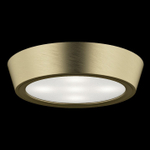 Накладной светильник Lightstar Urbano 214912