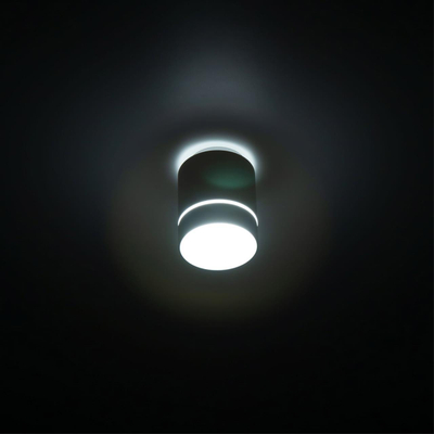 Citilux Борн CL745010N LED Светильник накладной Белый