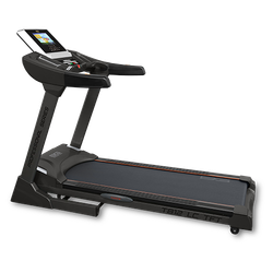 BRONZE GYM T812 LC TFT