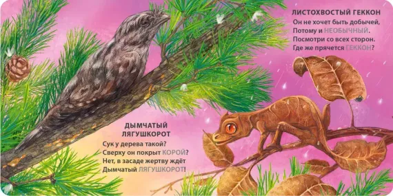 Книжки - картонки. Загадки - рифмы. Животные - невидимки