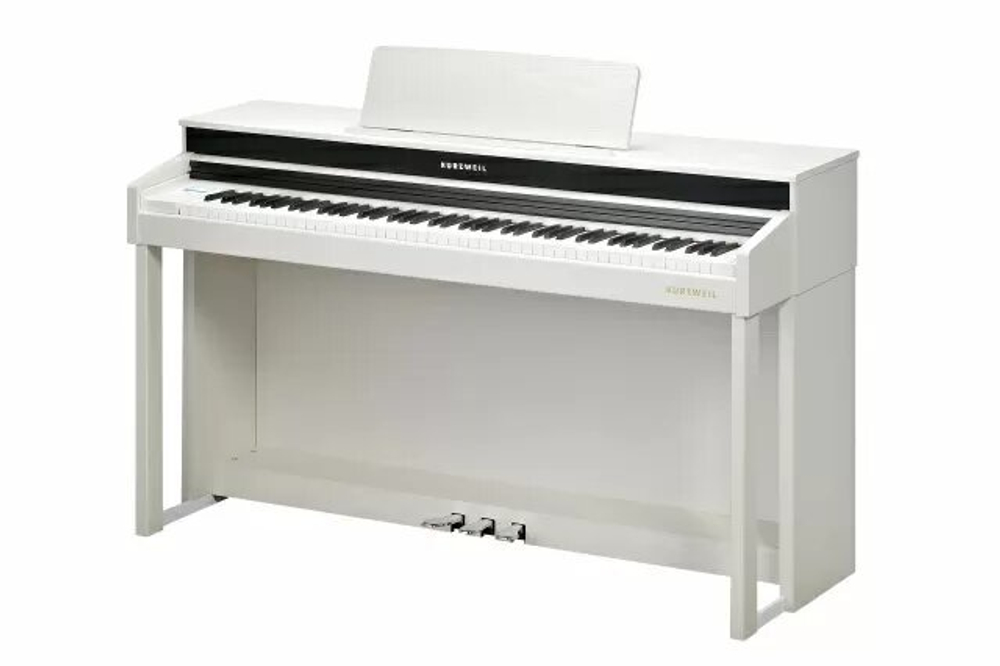 Kurzweil Andante CUP320