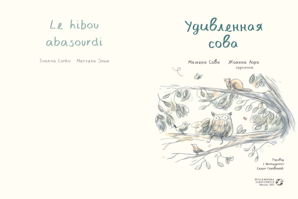 Удивленная сова