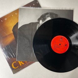 Винтажная виниловая пластинка LP Julio Iglesias Crazy (Испания 1994)
