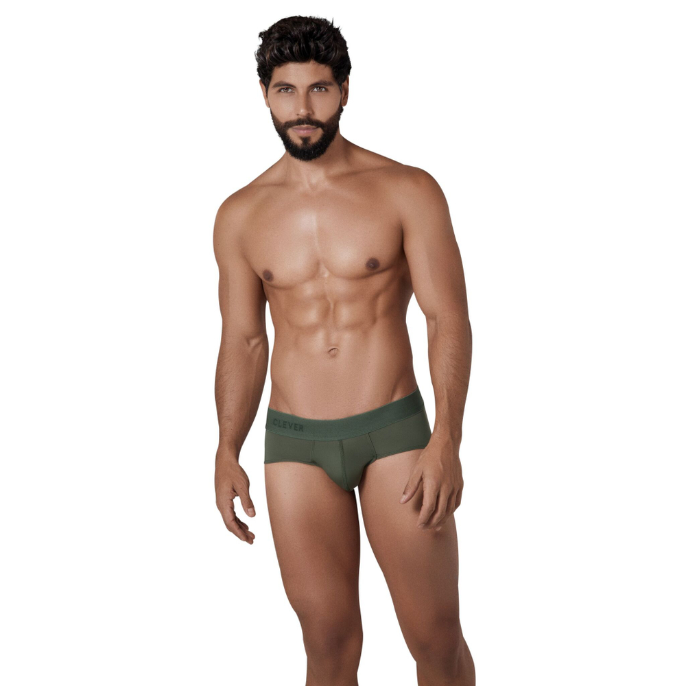 Зеленые трусы-брифы Basic Classic Brief (Размер: L) (Цвет: зеленый)