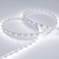 Светодиодная лента RT 2-5000 24V White6000 (3528, 300 LED, LUX) (Arlight, 4.8 Вт/м, IP20) 011504(B)