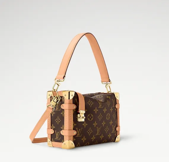 Сумка Louis Vuitton Side Trunk коричневый