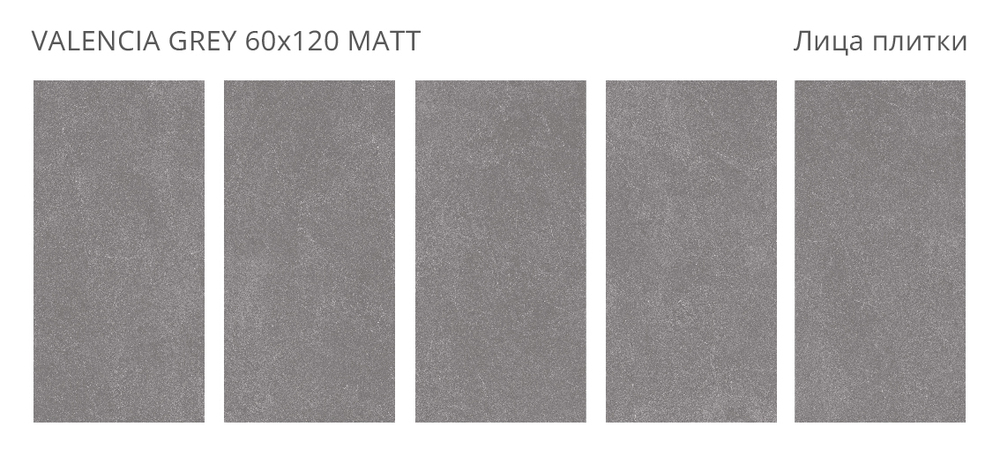 VALENCIA GREY 60x120 MATT