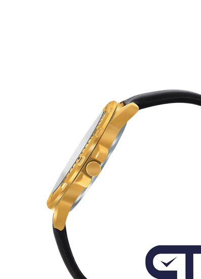 Casio MTP-VD300GL-1E — мужские наручные часы