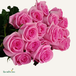 Фон карточки (73).png