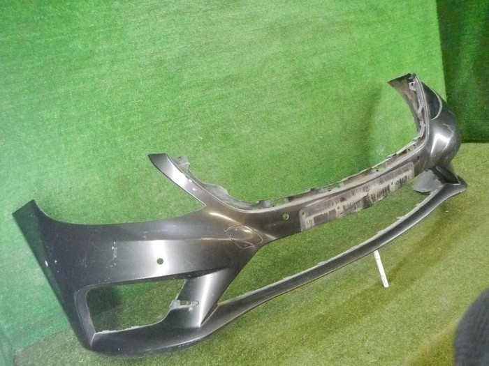DSCN3558.jpg