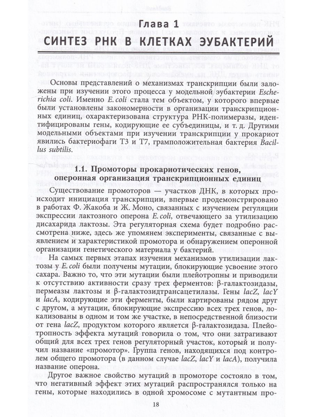 РНК: синтез и функции