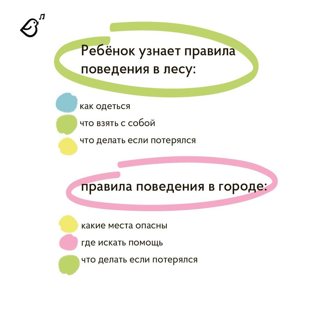 Все три книги «Опасные приключения Веры и Саши»