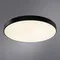 Потолочный светильник Arena A2673PL-1BK Arte Lamp