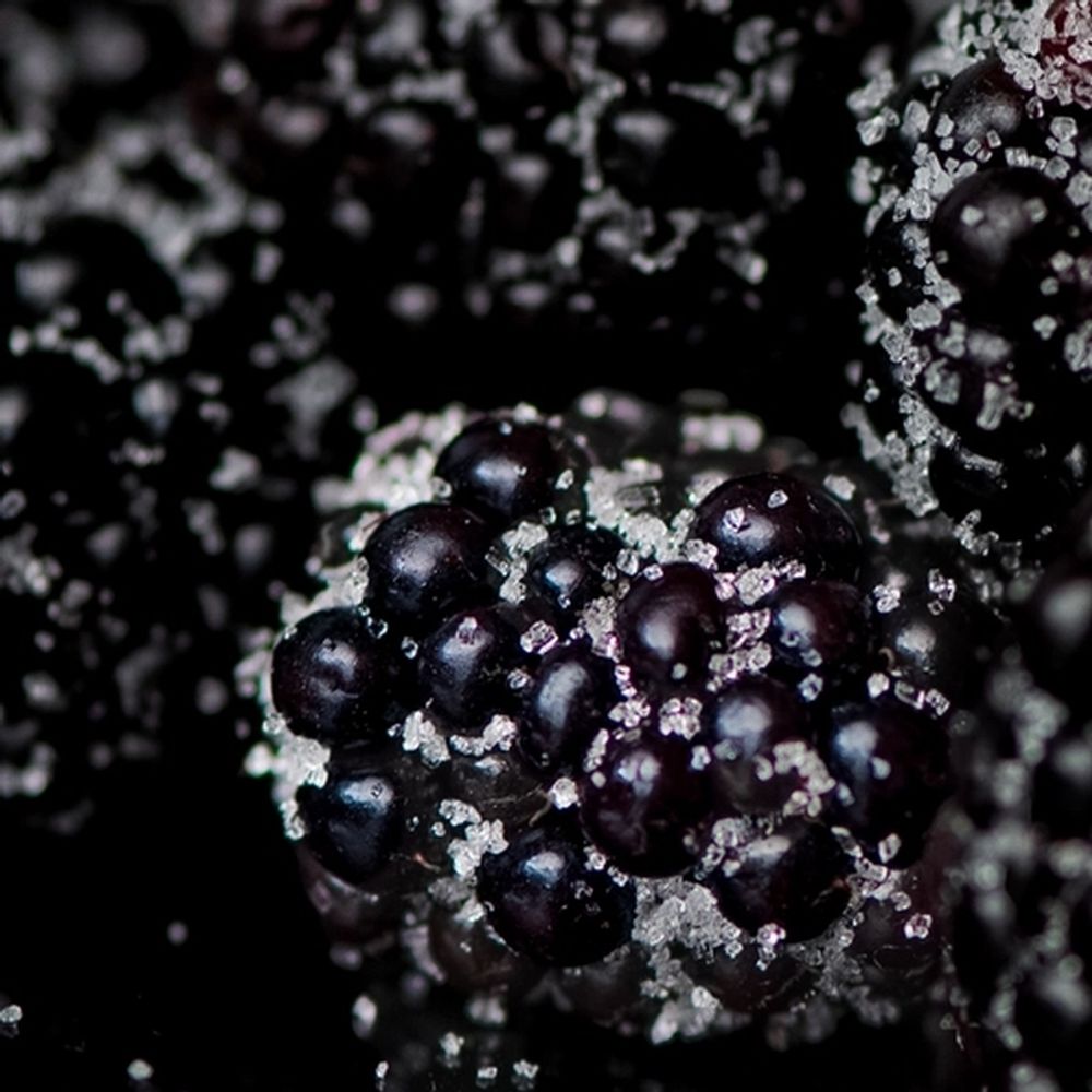 Полуночная ежевика (Midnight Blackberry)