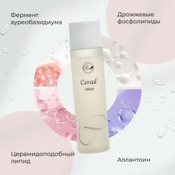 Увлажняющий лосьон для лица с ферментами Enzym Cerad Lotion