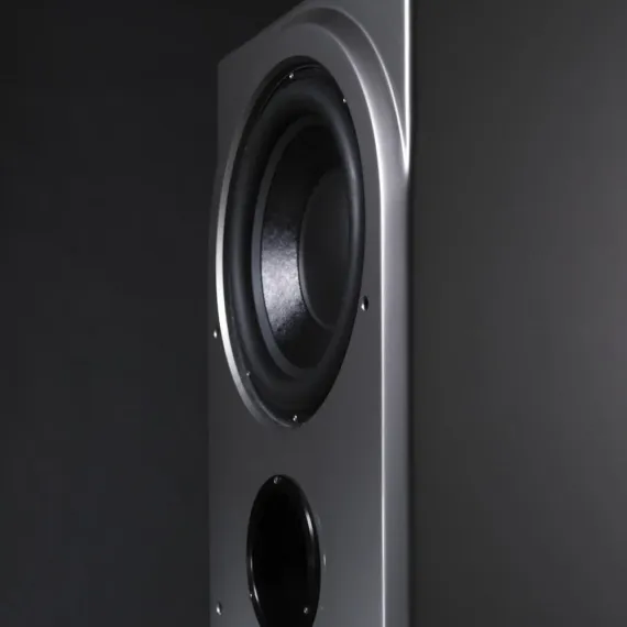 Wilson Audio Thor Hammer Subwoofer Carbon
