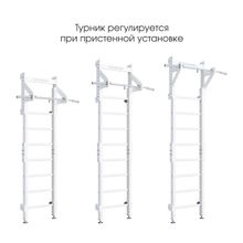 Домашний спортивный комплекс ROMANA Эко 1.1 (белый)