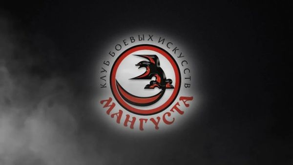 Всероссийские соревнования по тхэквондо ВТ "Мангуста" (ЕКП 2047540021059765)