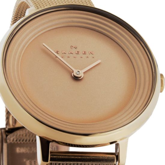 Женские часы Skagen SKW2213