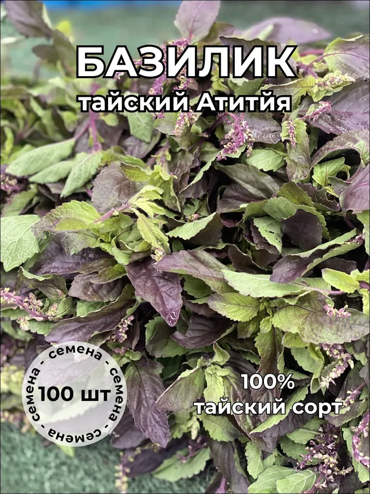Базилик красный Атитйя — семена, 100 шт.