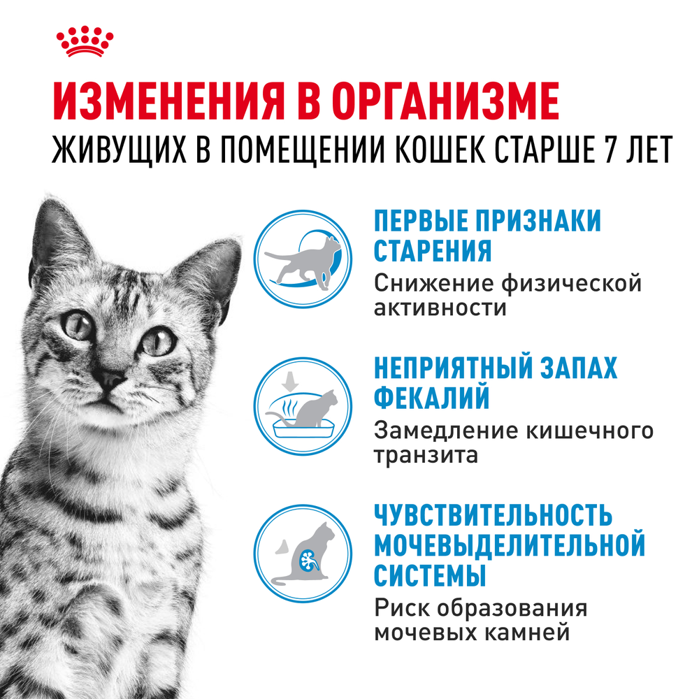 Royal Canin Indoor 7+ Индор Корм сухой сбалансированный для стареющих кошек в возрасте от 7 до 12 лет живущих в помещении 400г