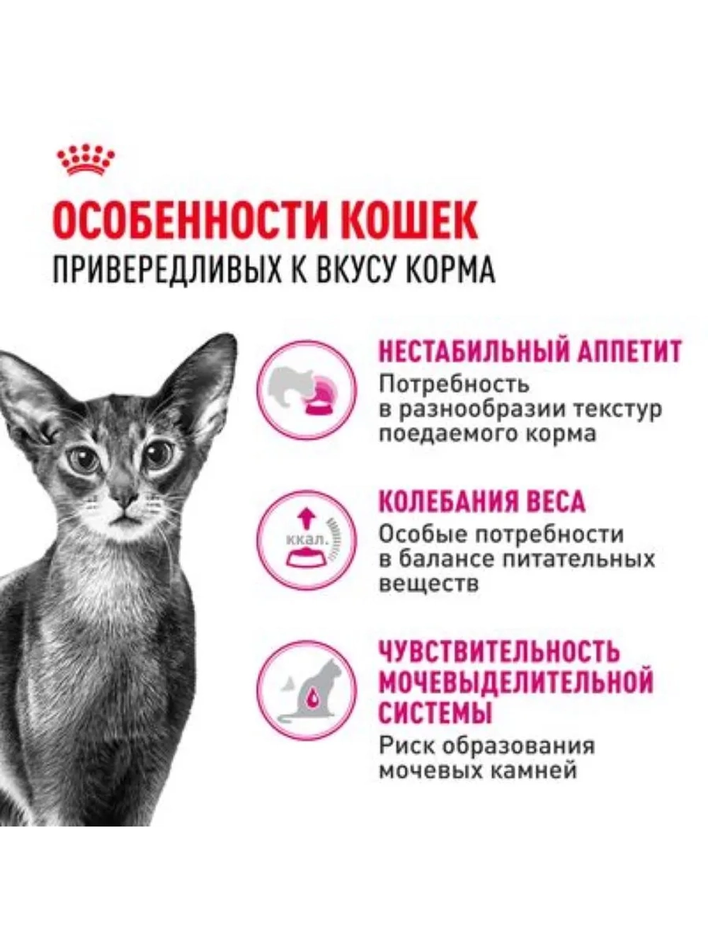 Exigent Savour 35/30 Корм для привередливых кошек 2кг
