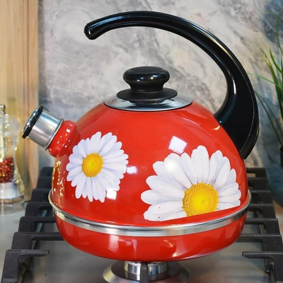 Чайник 3,5л со свистком, консольная ручка, бордо "Ромашки"