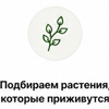 Выбираем растения с учетом климата Тюмени и особенностей участка, чтобы сад радовал в любое время года.