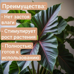 Авторский грунт для Стрелиции 2 литра грунт универсальный 2 литра