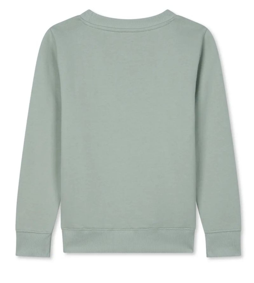 Детская толстовка Roland Garros Kids Sporty Chic Titouan - green