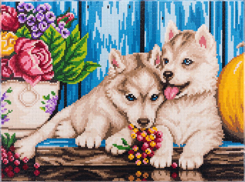 Алмазная (кристальная) мозаика Фрея, на подрамнике Щенки Хаски, 40х30 см