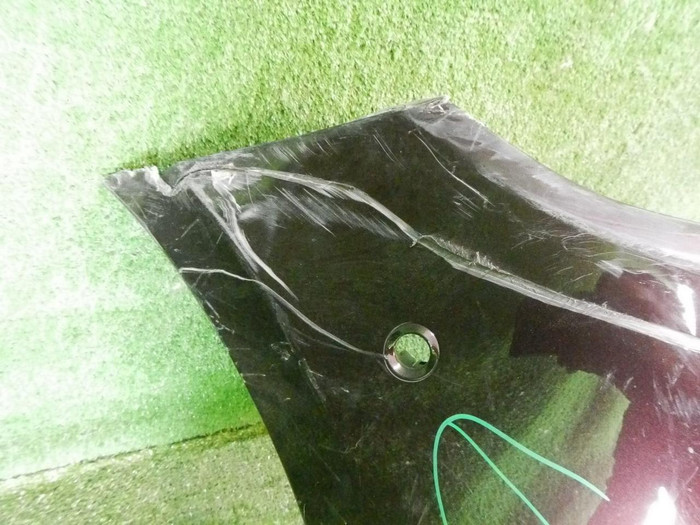 DSCN6662.jpg