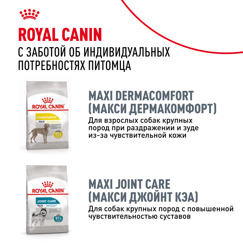 Royal Canin Maxi Digestive Care Макси Дайджестив кэа Корм сухой для взрослых собак больших размеров с чувствительным пищеварением 3кг