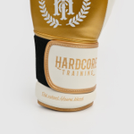 Боксерские перчатки Hardcore Training Revolution Gold/White PU
