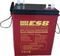 Тяговая аккумуляторная батарея ESB HLC6-300