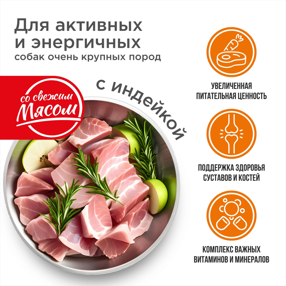Корм сухой для взрослых собак очень крупных пород, премиум полнорационный комплекс, для активных и энергичных собак, с индейкой, 12 кг, QUATTRO