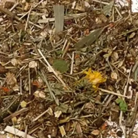 Гастритный Сбор