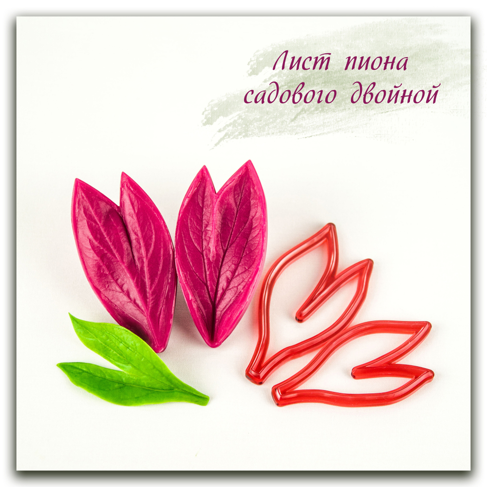 Лист пиона садового двойной