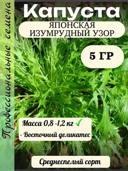 Семена капуста японская Изумрудный узор 5 гр