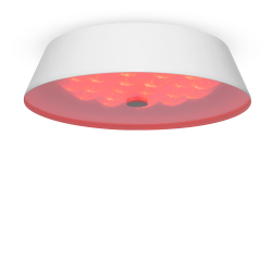 Потолочный светильник Freya FR10013CL-L24W