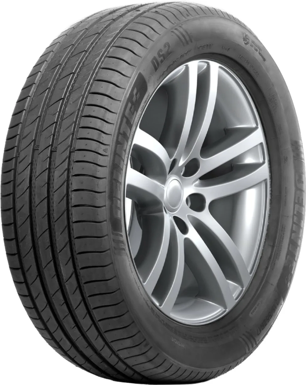 Летняя шина Delinte DS2 SUV (285/40 R21 109W)