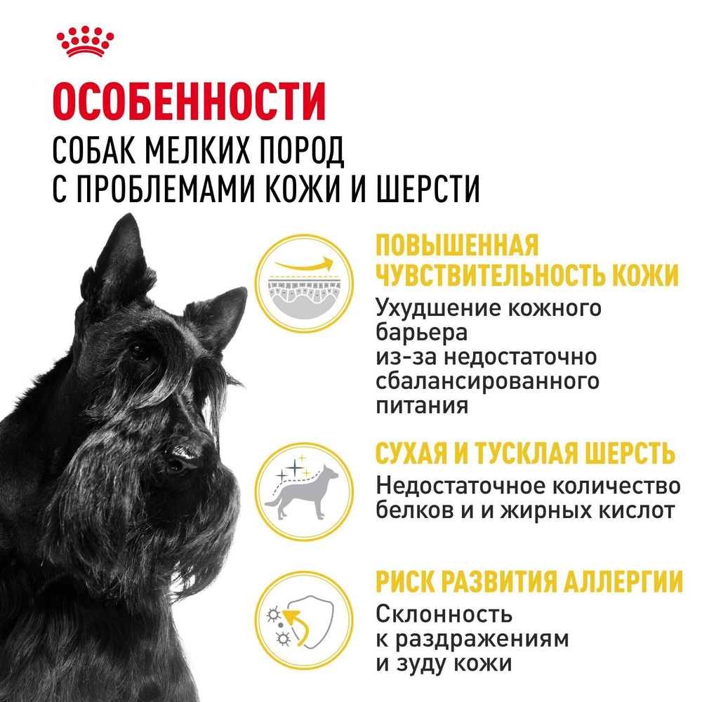 Royal Canin Mini Dermacomfort Мини Дермакомфорт Корм сухой для взрослых собак мелких пород для профилактики раздражения и зуда кожи 3кг