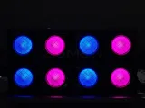 BL600-IP — уличный LED-блайндер 2×300 Вт RGBL-WW с углом 50° IP65
