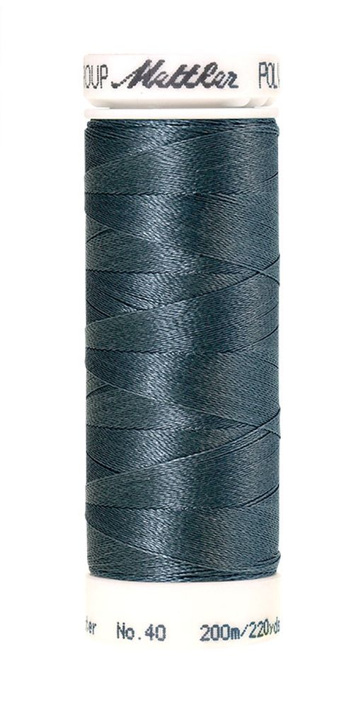 Нить вышивальная Mettler Poly Sheen 40 (200 м), 5 кат. | цв. 3842