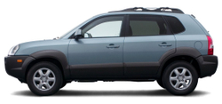 Порог Hyundai Tucson JM 2004-2010 (1мм)
