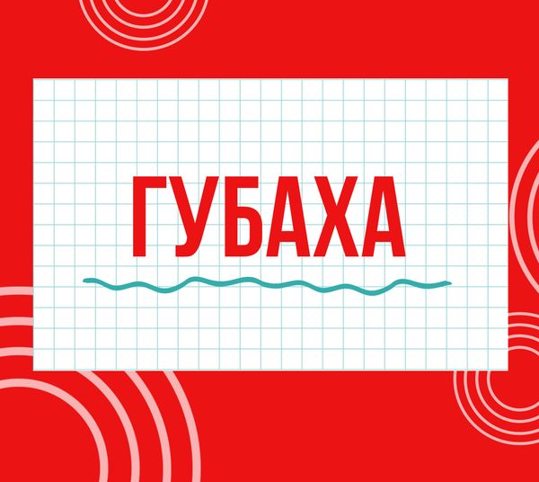 Магазины "Циркуль" г. Губаха