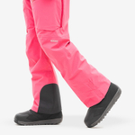 Штаны для сноуборда Dimito VTX OG 2L Pants