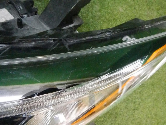 DSCN9813.jpg